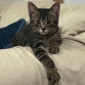 Meet your Posher, Gretchen